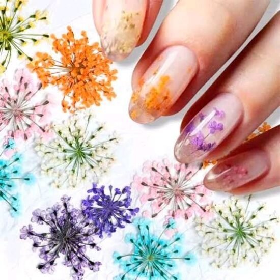 Flor Seca BYCX Estojo com 24 unidades (1 par de cada cor)